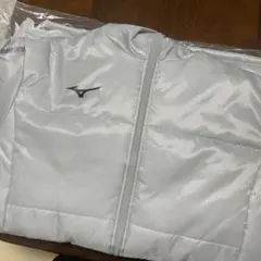 Item thumbnail for item 3fa7c93e-a46e-4dd4-bbcb-0330ae61dec5