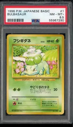 PSA9】フシギソウ 旧裏 サザンアイランド - メルカリ
