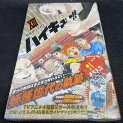 ハイキュー!! ショーセツバン!!  13巻　初版