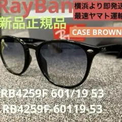 横浜即発！正規RayBanレイバンRB4259F601/19グラディエントブルー