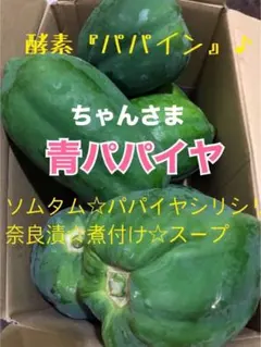 ちゃんさま新鮮青パパイヤ箱込み20キロ - メルカリ 新鮮青パパイヤ箱込み20キロ
