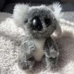 【新品】コアラ　ぬいぐるみ　オーストラリア