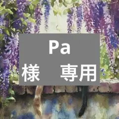 Pa様　専用