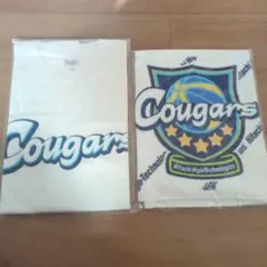 Item thumbnail for item 81633ffe-3664-48e3-b43d-3f4772197b4d