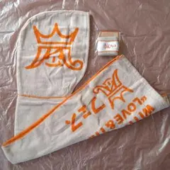 嵐　アラフェス2012　グッズセット