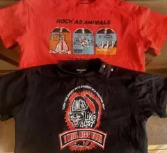 Item thumbnail for item efd92aeb-84ca-45a8-b717-f882ac94a9b8