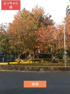 マリメッコ　北欧 リュック　ウニッコ