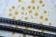 Haru工房❁⃘*.゜様 リクエスト 3点 まとめ商品