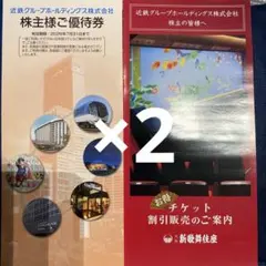 近鉄グループホールディングス　株主優待券　２冊