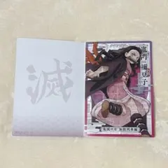 鬼滅の刃　クリアビジュアルポスター　〜無限列車編　其の壱〜　竈門ねずこ
