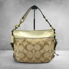 Coach Zoe Signature Hobo Shoulder Bag