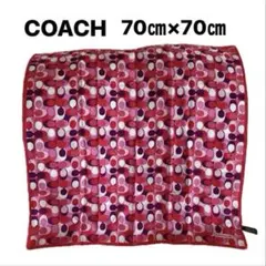 Item thumbnail for item 289e6e27-582b-4907-8ad3-1006aa4aa19a