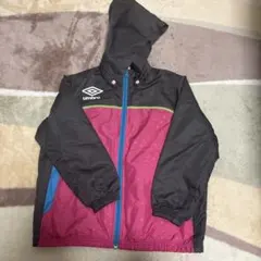 Item thumbnail for item 85144a31-2e86-446f-8759-9c507c8333e2