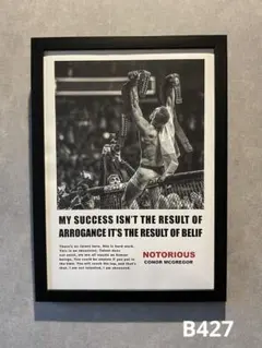 B427 コナーマクレガー　アートポスター　格闘技　UFC 筋トレ