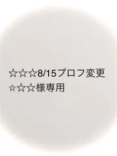 ☆☆☆8/15プロフ変更✩☆☆様専用