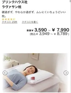 プラウシオンPROUSION 羽毛枕 プラウシオン&そばがら入 未使用☆日本製品 プラウシオンPROUSION 羽毛枕 プラウシオン&そばがら