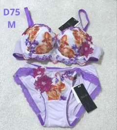 サルート ブラジャーショーツセット D75 M - メルカリ