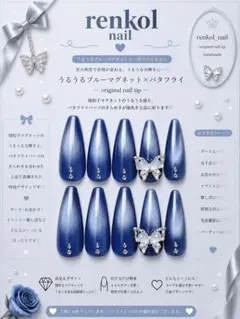 ネイルチップ 儚げブルーマグネット×蝶々ネイル ワンホン 透明感 上品 韓国
