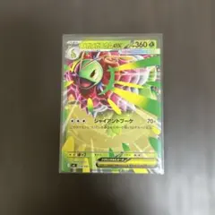 2026年最新】メガニウムexの人気アイテム - メルカリ