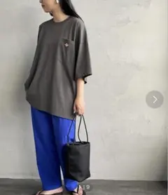 DANTON ダントン　BIG Tシャツのサムネイル
