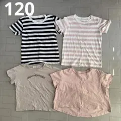 【120cm】半袖Tシャツ　4点セット　夏服　保育園