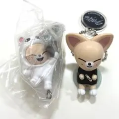 SKZOO つまんでつなげてますこっと　フォクシニー　セット