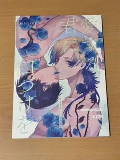ブルーロック カイ潔 同人誌
