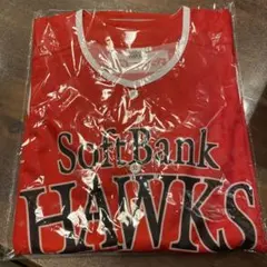 Item thumbnail for item 921c3add-a28a-4cfd-8fd3-19cdf781d043