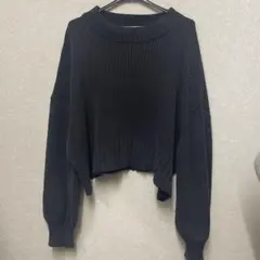 JEANASIS ブラック系 リブ編み 長袖ニット ショート丈
