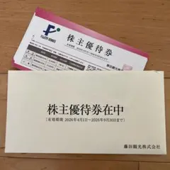 藤田観光 株主優待券 10枚 箱根 小涌園 ユネッサン他のサムネイル