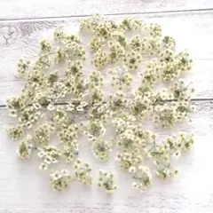 いの様 リクエスト 3点 まとめ商品