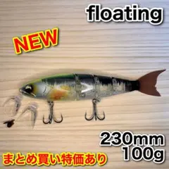 Item thumbnail for item a7caa101-8583-4dd3-a2ab-7a6c14699b11