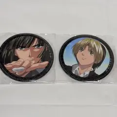 ヒカルの碁 ドリーム缶バッジ 花鳥風月 進藤ヒカル 塔矢アキラ 2점 세트