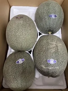 産地直送！アールスメロン❗️甘くて美味しい❗️5玉入り！箱込8.5キロ 