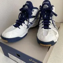 asics バレーボールシューズ GELFORZA TVR427 27.0cmのサムネイル