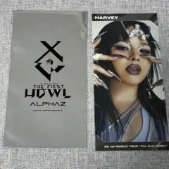 XG MILLION PLACES 応募券 無し HARVEY トレカ付 - メルカリ