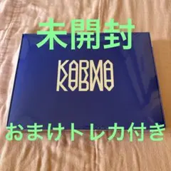 Stray Kids KARMA 未開封 おまけトレカ付き