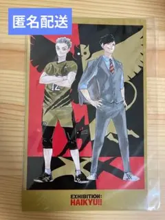 2025年最新】木兎クリアファイルの人気アイテム - メルカリ