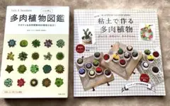 観葉植物