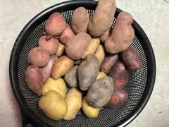 ひより日和(^^)☆彡様 リクエスト 2点 まとめ商品