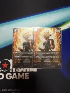 FB08-112 バーダック 2枚 美品 ハリネズミさん専用