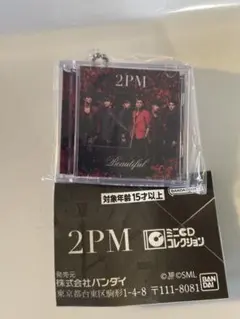 2026年最新】2pm cdの人気アイテム - メルカリ