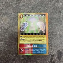 デジモンカードゲーム 奇跡の究極騎士 BT-17-095 金枠 パラレル - メルカリ