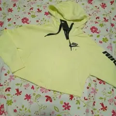 Item thumbnail for item 901c4e73-8b3f-4c08-a376-dcb481abeac3