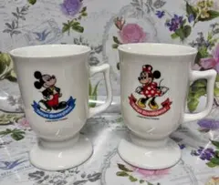 東京ディズニーランド ミッキー＆ミニー ペアマグカップ
