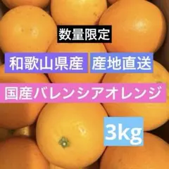 ⟡.·今季最終⟡.·和歌山県産 こだわり国産バレンシアオレンジ*木成完熟*3kgのサムネイル