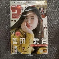 名探偵コナン 灰原哀 サンデー 特別付録 プロモカード クリスマス