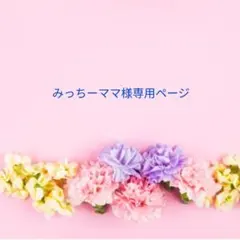 みっちーママ様専用ページとなります。