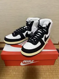 Nike Terminator High Black and Phantom