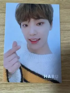 SEVENTEEN HARU ディノ　トレカ